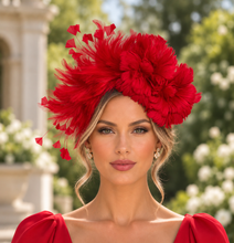 Load image into Gallery viewer, Red feathers
